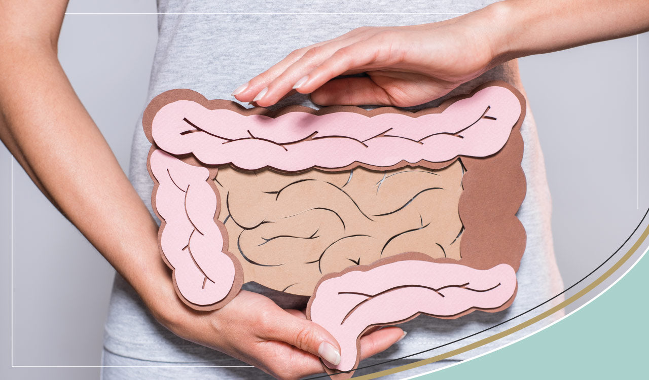 The truth behind leaky gut or intestinal permeability