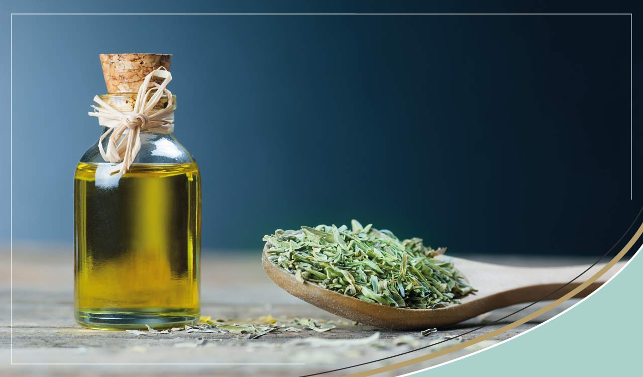 What is oregano oil? And why is it such a good antibacterial
