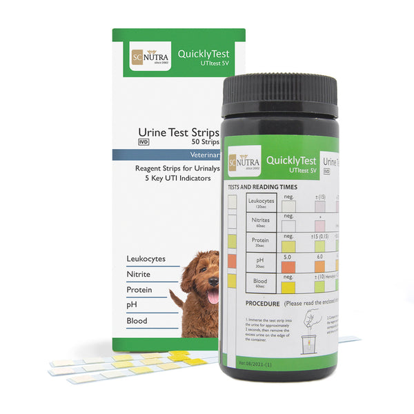 High ascorbic acid in dog urine best sale